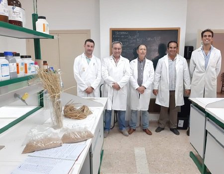 Politécnico de Portalegre participa em estudo sobre arsénio e cádmio nos grãos de arroz